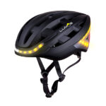 Aea e dictatae vite dictaae dicta